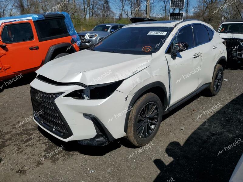 LEXUS NX 350 BAS 2024 white  gas JTJAGCEZXR2016214 photo #1