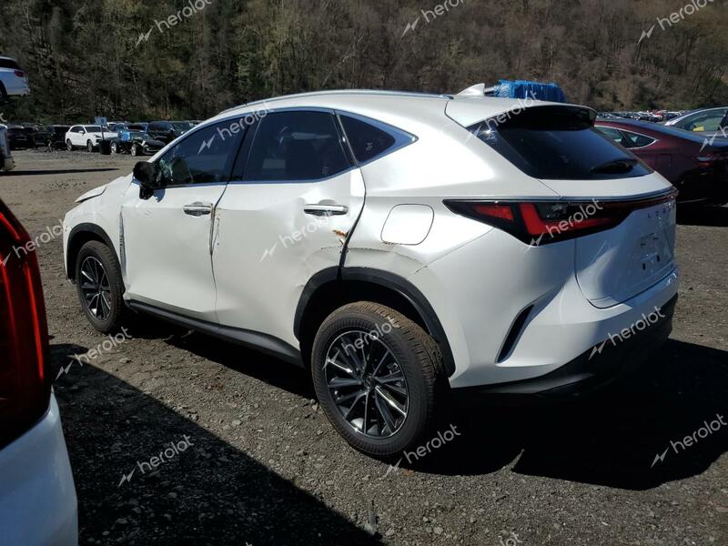 LEXUS NX 350 BAS 2024 white  gas JTJAGCEZXR2016214 photo #3