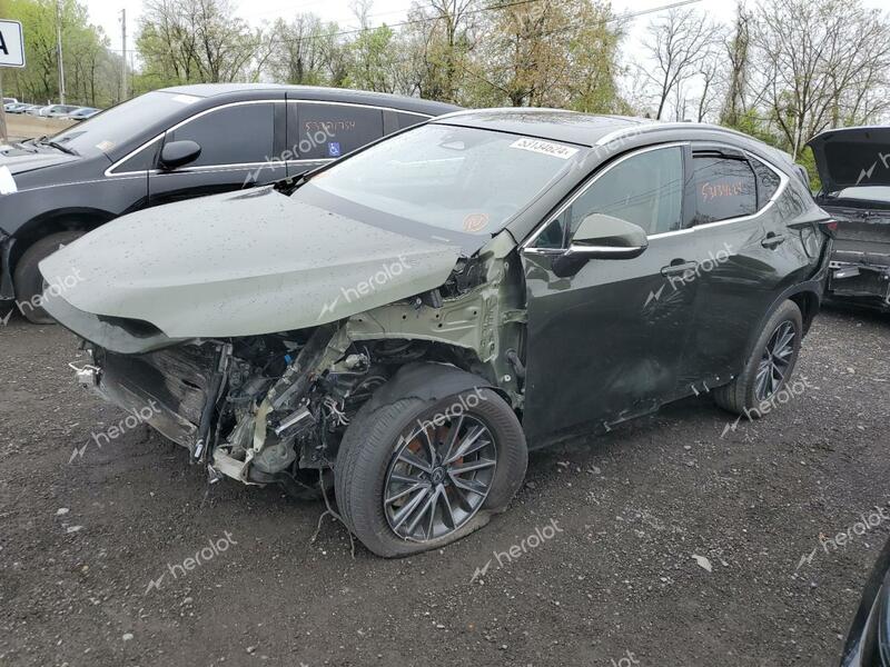 LEXUS NX 250 PRE 2024 green  gas 2T2GDCAZ9RC006783 photo #1