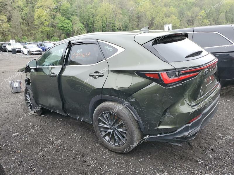 LEXUS NX 250 PRE 2024 green  gas 2T2GDCAZ9RC006783 photo #3