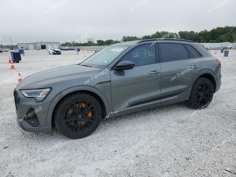 AUDI E-TRON CHR 2023 gray  electric WA1VABGEXPB011919 photo #1