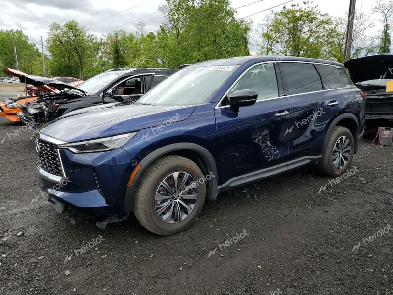 INFINITI QX60 PURE 2024 blue  gas 5N1DL1ES3RC334670 photo #1