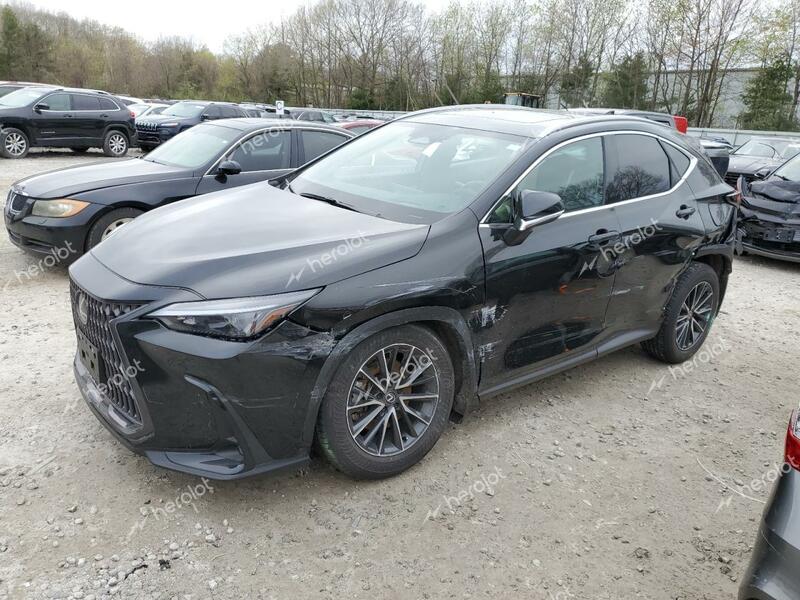 LEXUS NX 250 PRE 2024 black  gas 2T2GDCAZ8RC007097 photo #1