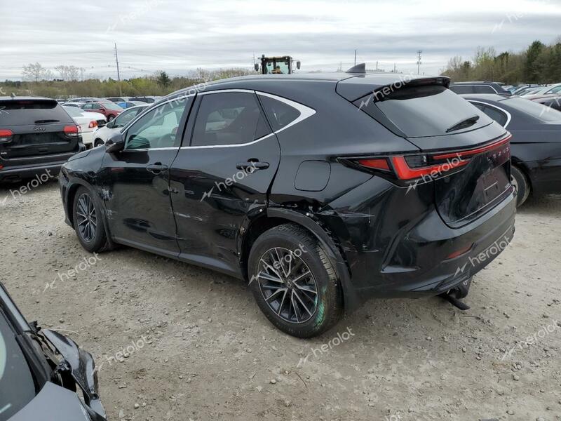 LEXUS NX 250 PRE 2024 black  gas 2T2GDCAZ8RC007097 photo #3