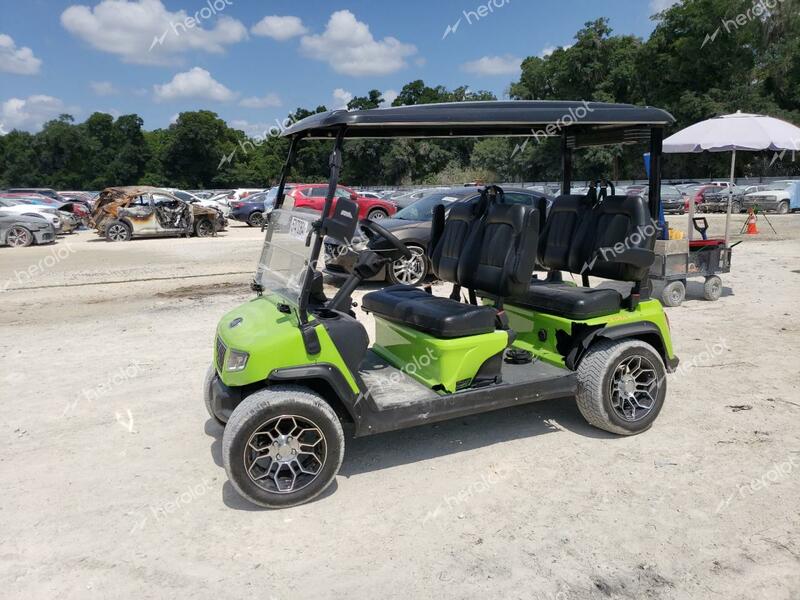 ASPT GOLF CART 2024 green   FLA132412 photo #3