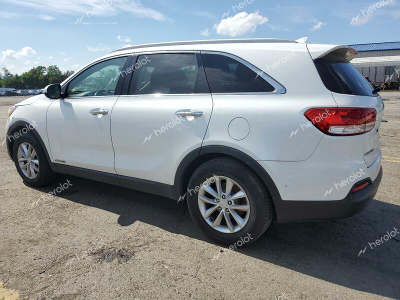 KIA SORENTO LX 2016 white 4dr spor gas 5XYPGDA56GG085636 photo #3