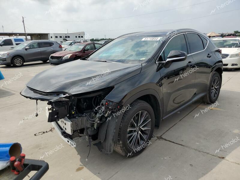 LEXUS NX 250 PRE 2024 black  gas 2T2GDCAZ9RC008193 photo #1