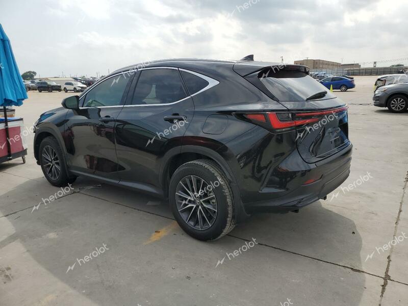 LEXUS NX 250 PRE 2024 black  gas 2T2GDCAZ9RC008193 photo #3