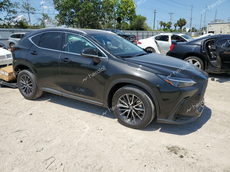 LEXUS NX 250 PRE 2024 black  gas 2T2GDCAZXRC011538 photo #1