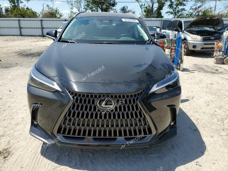 LEXUS NX 250 PRE 2024 black  gas 2T2GDCAZXRC011538 photo #3