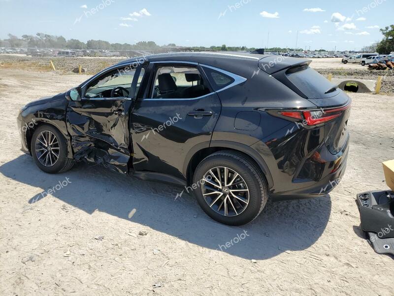 LEXUS NX 250 PRE 2024 black  gas 2T2GDCAZXRC011538 photo #4