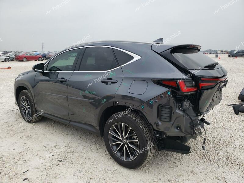 LEXUS NX 250 PRE 2024 gray  gas 2T2GDCAZ6RC007566 photo #3