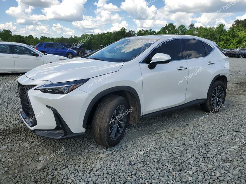 LEXUS NX 250 PRE 2024 white  gas JTJGDCAZ6R5016833 photo #1