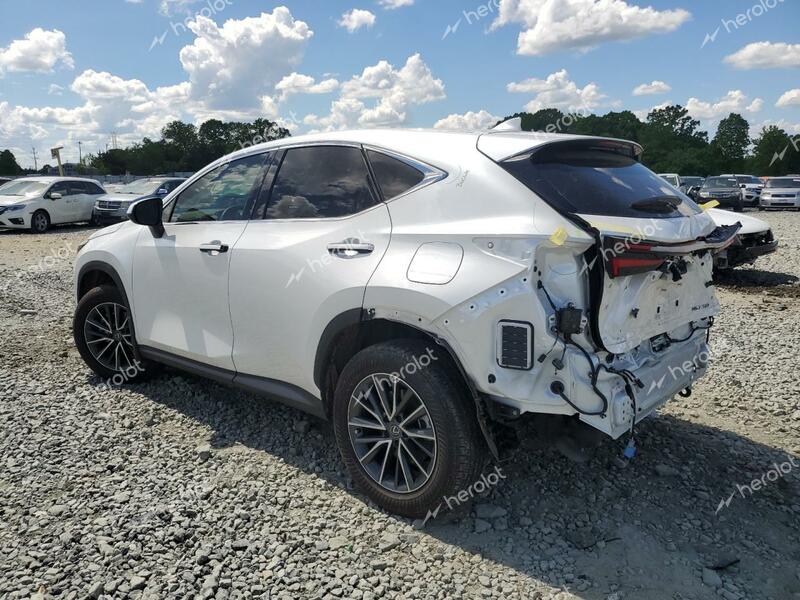 LEXUS NX 250 PRE 2024 white  gas JTJGDCAZ6R5016833 photo #3