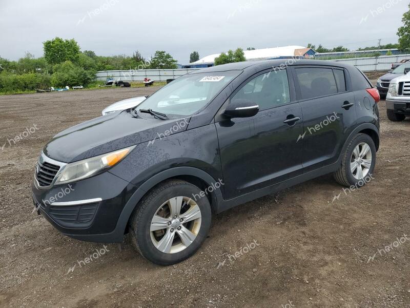 KIA SPORTAGE B 2013 black  gas KNDPB3A22D7484986 photo #1