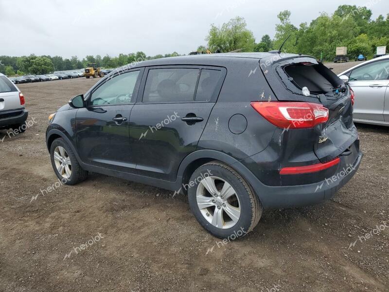 KIA SPORTAGE B 2013 black  gas KNDPB3A22D7484986 photo #3