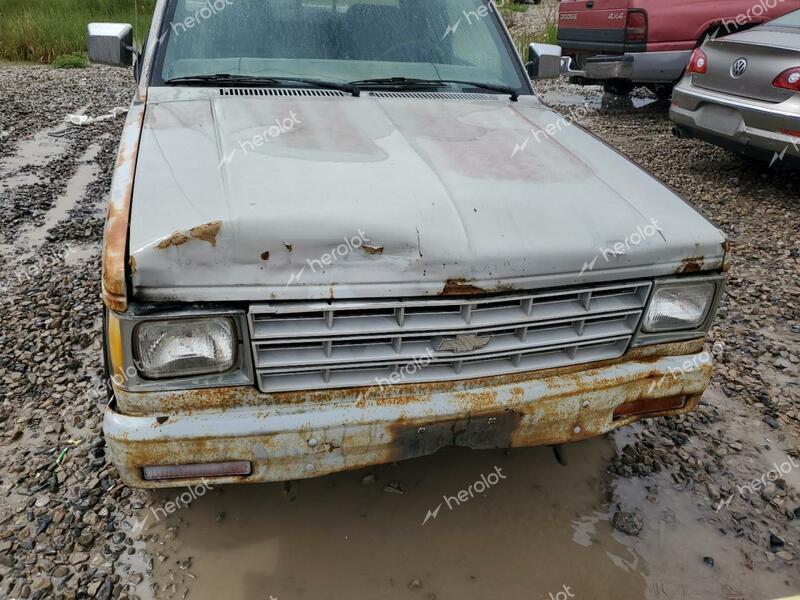 CHEVROLET S-10 1984 silver  gas 1GCDT14B1E8172752 photo #4