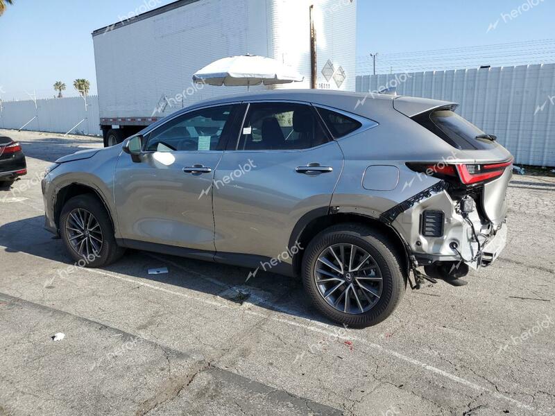 LEXUS NX 350 BAS 2024 gray  gas 2T2AGCEZ8RC034310 photo #3