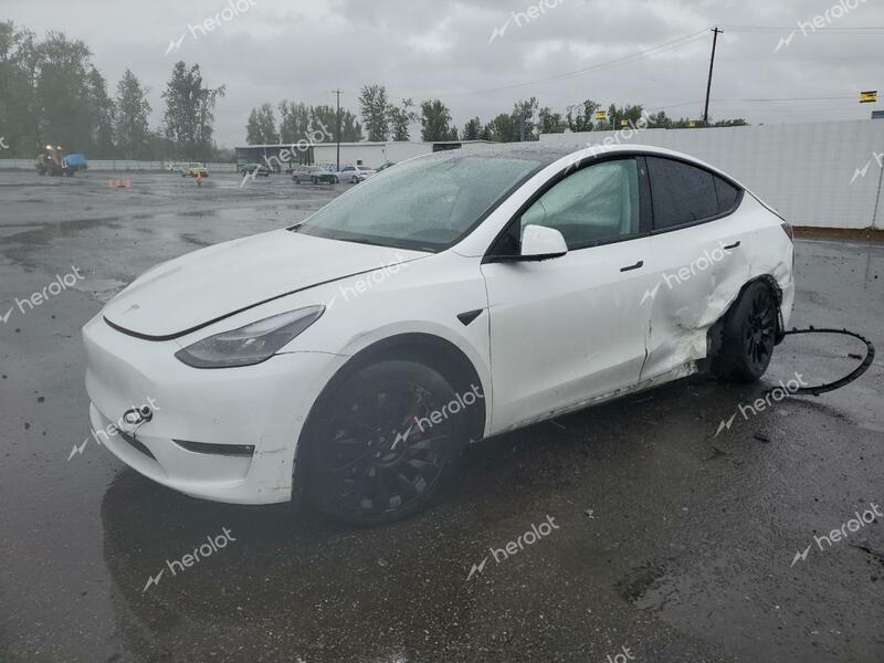 TESLA MODEL Y 2022 white  electric 7SAYGDEF3NF364802 photo #1