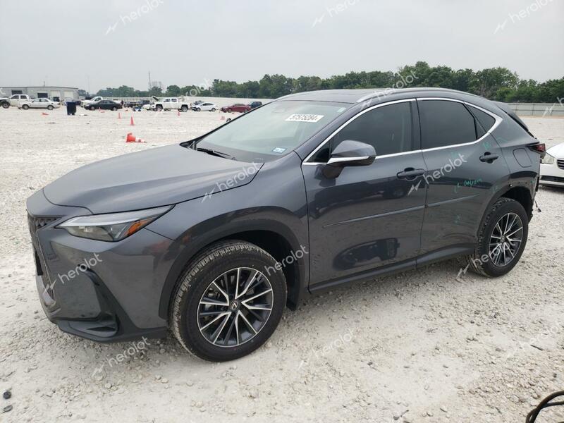 LEXUS NX 250 PRE 2024 gray  gas 2T2GDCAZ6RC007566 photo #1