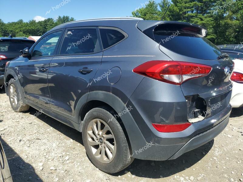 HYUNDAI TUCSON LIM 2016 gray 4dr spor gas KM8J33A43GU093819 photo #3