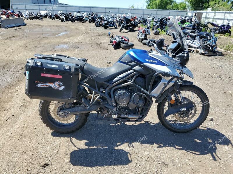 TRIUMPH MOTORCYCLE TIGER 800X 2018 blue  gas SMTE07BF7JT877988 photo #1