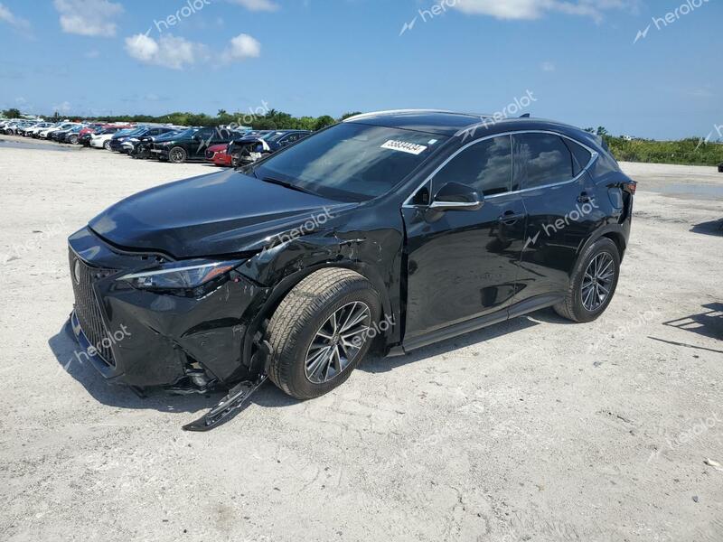 LEXUS NX 250 PRE 2024 black  gas JTJGDCAZ7R5020664 photo #1