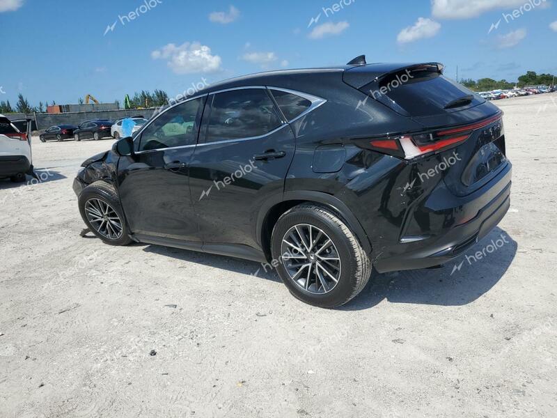 LEXUS NX 250 PRE 2024 black  gas JTJGDCAZ7R5020664 photo #3