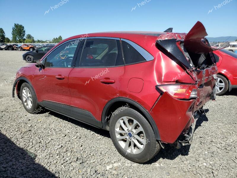 FORD ESCAPE SE 2020 red  gas 1FMCU0G66LUB41739 photo #3