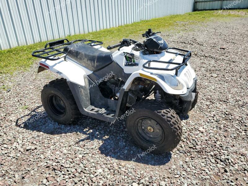 ATV 4 WHEELER 2018 white   RFB18ATV6JK6H0425 photo #1