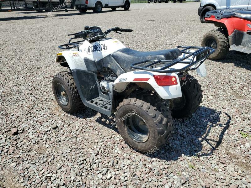 ATV 4 WHEELER 2018 white   RFB18ATV6JK6H0425 photo #4