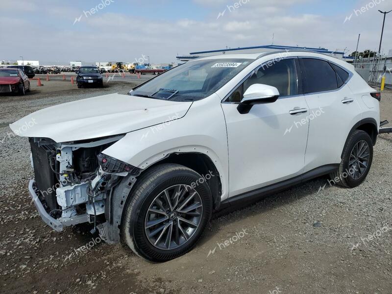 LEXUS NX 350 BAS 2024 white  gas JTJAGCEZXR2014429 photo #1