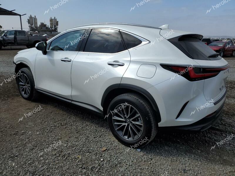 LEXUS NX 350 BAS 2024 white  gas JTJAGCEZXR2014429 photo #3