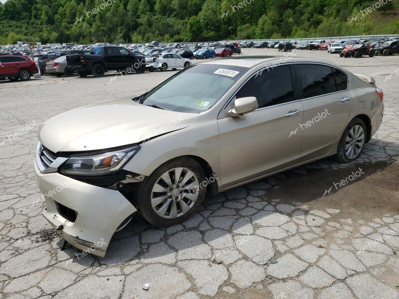 HONDA ACCORD EX 2013 gold  gas 1HGCR2F70DA115606 photo #1