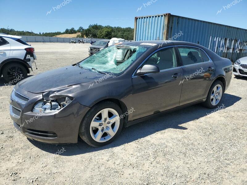 CHEVROLET MALIBU LS 2012 gray  gas 1G1ZB5E04CF299798 photo #1