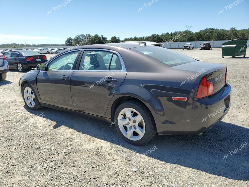 CHEVROLET MALIBU LS 2012 gray  gas 1G1ZB5E04CF299798 photo #3