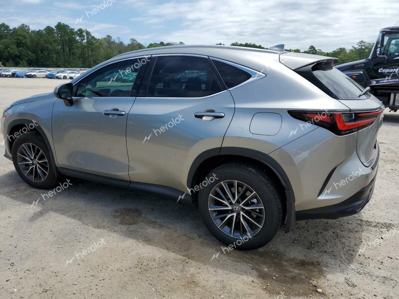 LEXUS NX 250 PRE 2024 silver  gas 2T2GDCAZ5RC008174 photo #3