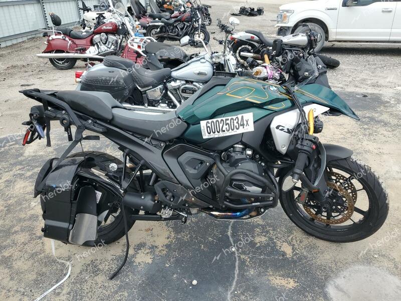 BMW R 1300 GS 2024 green  gas WB10M2307R6J11941 photo #1