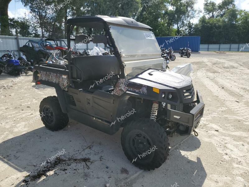 ATV ALL MODELS 2019 green   LWGMDZZ07KA002497 photo #1