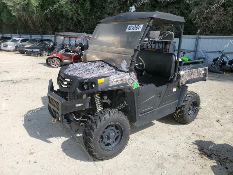 ATV ALL MODELS 2019 green   LWGMDZZ07KA002497 photo #3