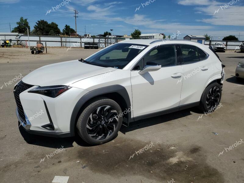 LEXUS UX 250H BA 2023 white  hybrid engine JTHX9JBH5P2065629 photo #1