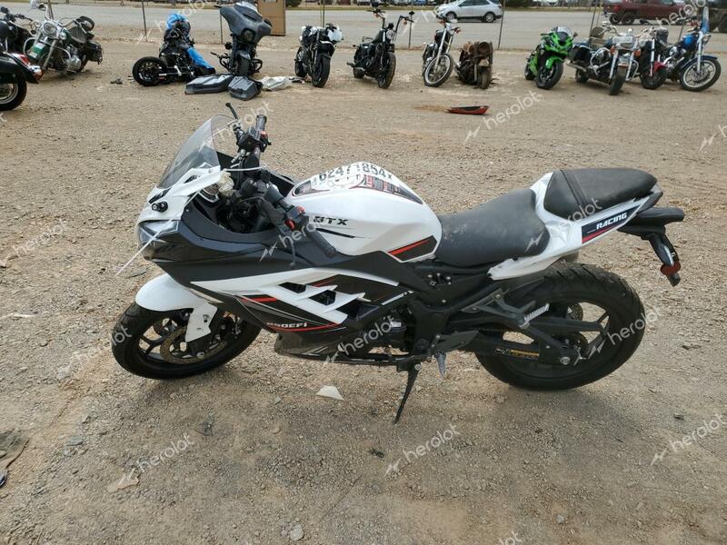 OTHER MOTORCYCLE 2024 white   H0DPBFG92RX073499 photo #4