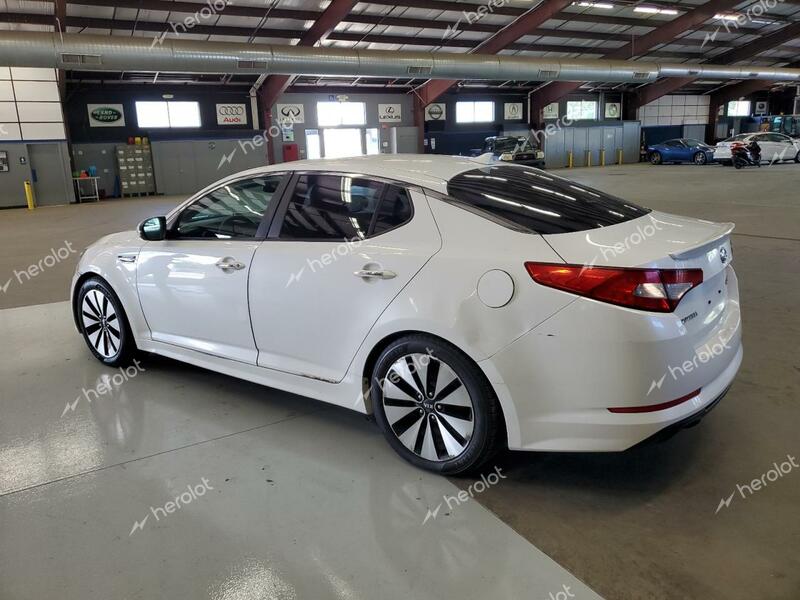 KIA OPTIMA SX 2011 white sedan 4d gas KNAGR4A62B5117189 photo #3