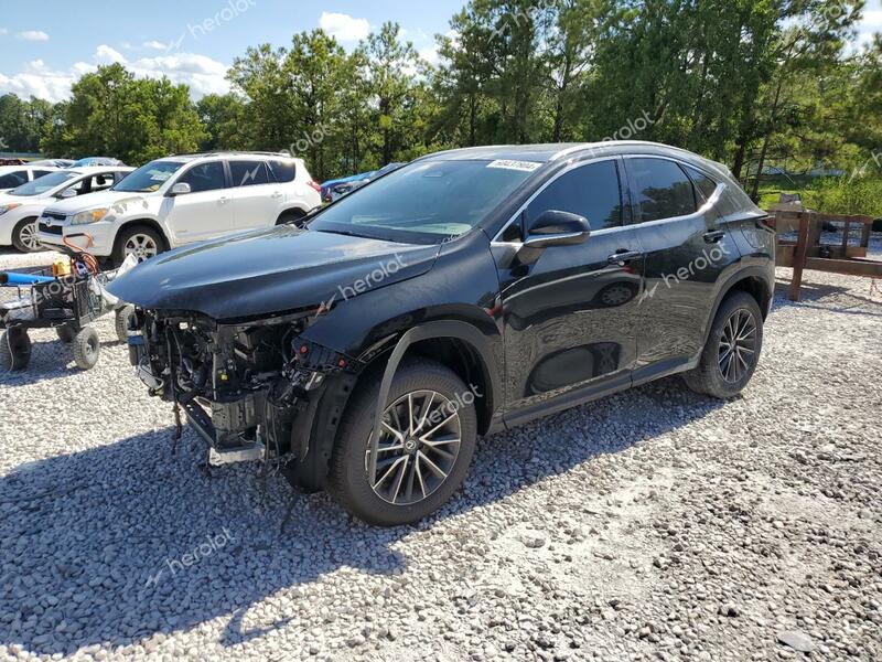 LEXUS NX 250 PRE 2024 black  gas 2T2GDCAZ6RC015067 photo #1