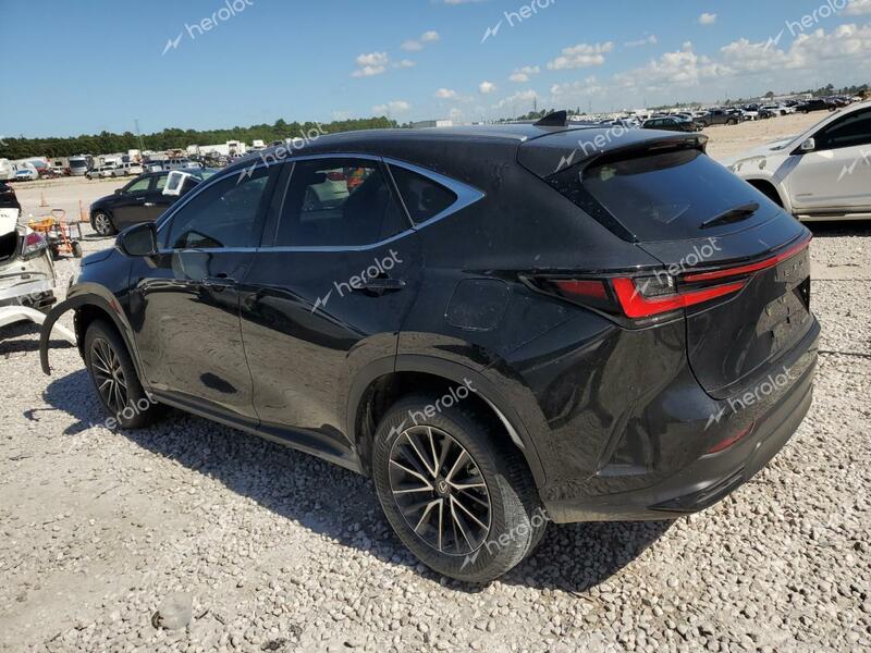 LEXUS NX 250 PRE 2024 black  gas 2T2GDCAZ6RC015067 photo #3