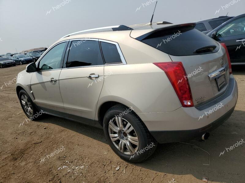 CADILLAC SRX LUXURY 2010 beige  gas 3GYFNDEY0AS500553 photo #3