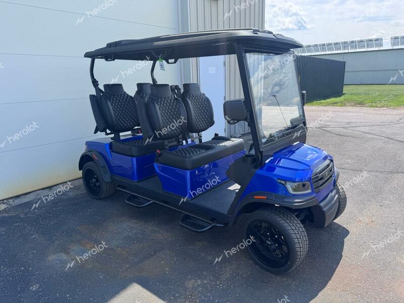 FRME GOLF CART 2024 blue   FC4001118 photo #1