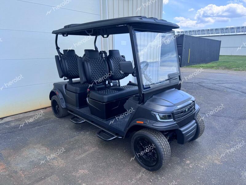 FRME GOLF CART 2024 black   FC4001110 photo #1