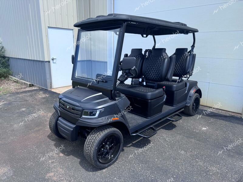 FRME GOLF CART 2024 black   FC4001110 photo #3