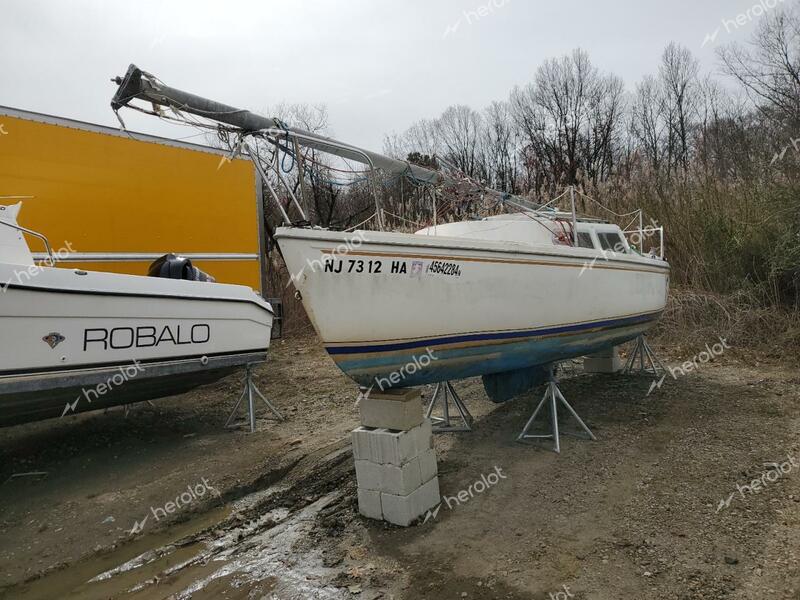 CCHM SAIL BOAT 1977 white   CTY07155M77D photo #3